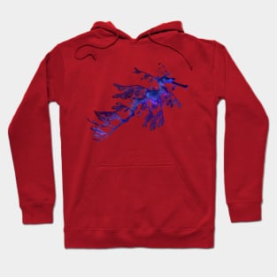 Seadragons Seahorse Dark Purple Hoodie